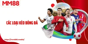 MM88 ✅ Trang Chủ OWLCTI | Link Đăng Ký MM88.COM An Toàn - PLAYMEADOW96.FIT