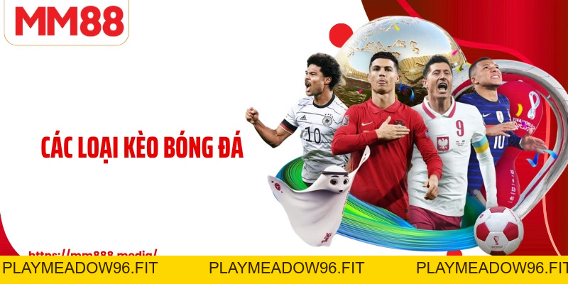 Các Loại Kèo Bóng Đá - Cẩm Nang Cho Người Yêu Thể Thao - PLAYMEADOW96.FIT