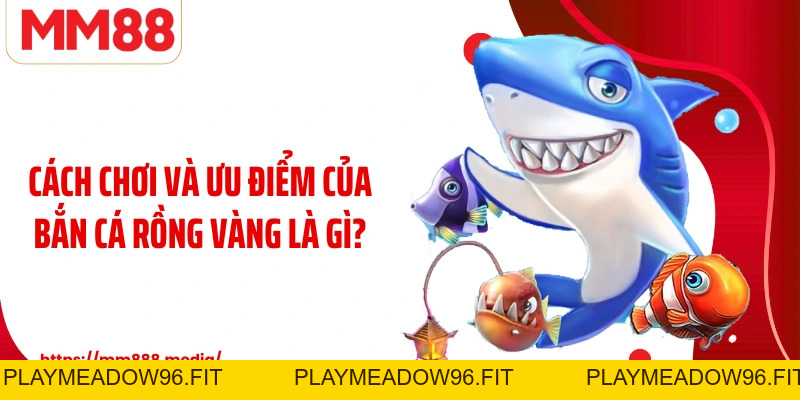Bắn Cá Rồng Vàng Trò Chơi Đại Dương Kịch Tính Và Hấp Dẫn - PLAYMEADOW96.FIT