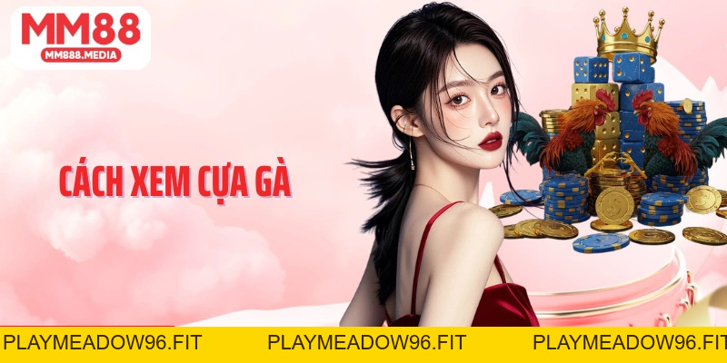 Cách Xem Cựa Gà Bí Quyết Chọn Chiến Kê Chuẩn Xác Và Hiệu Quả - PLAYMEADOW96.FIT