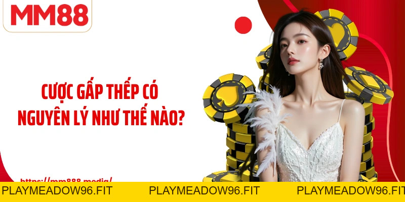 Cược Gấp Thếp Chiến Lược Nhân Đôi Vốn Và Quản Lý Rủi Ro - PLAYMEADOW96.FIT