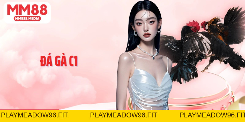 Đá Gà C1 Sân Chơi Đỉnh Cao Của Giới Đam Mê Chiến Kê - PLAYMEADOW96.FIT