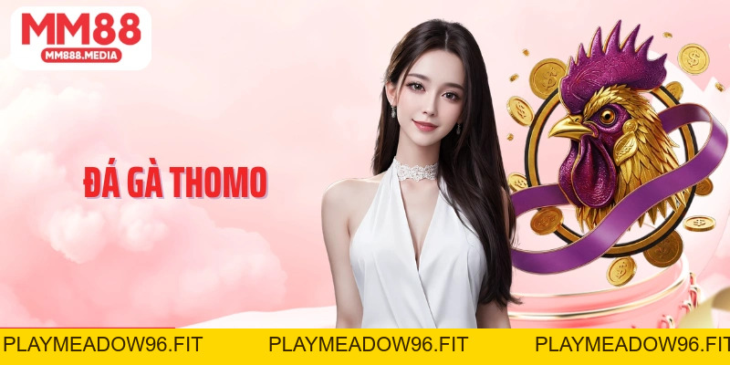 Đá Gà Thomo Sức Hút Từ Trường Gà Hợp Pháp Tại Campuchia - PLAYMEADOW96.FIT
