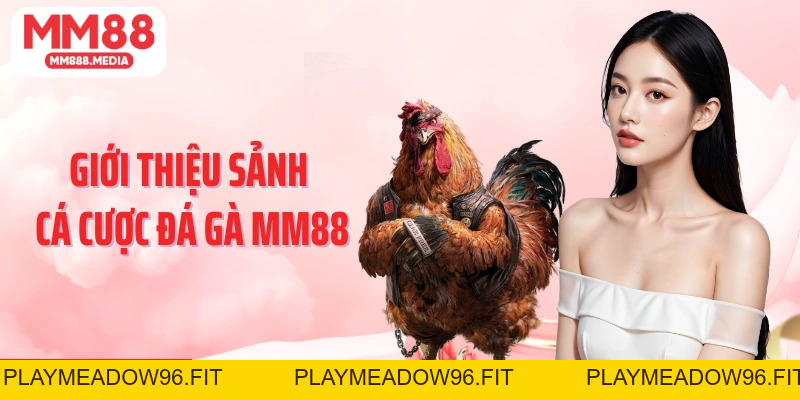 Đá Gà MM88: Cá Cược Chọi Kê Xanh Chín Kiếm Tiền Thưởng Lớn - PLAYMEADOW96.FIT