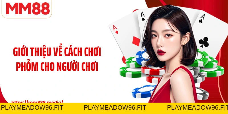 Cách Chơi Phỏm Và Những Bí Quyết Giữ Thế Chủ Động - PLAYMEADOW96.FIT