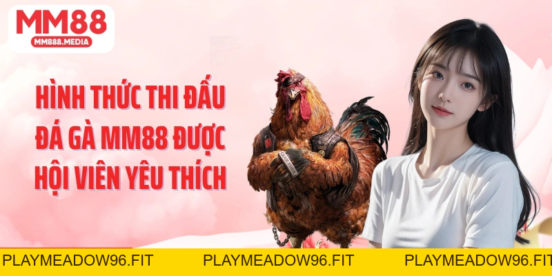 Đá Gà MM88: Cá Cược Chọi Kê Xanh Chín Kiếm Tiền Thưởng Lớn - PLAYMEADOW96.FIT