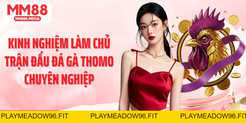 Đá Gà Thomo Sức Hút Từ Trường Gà Hợp Pháp Tại Campuchia - PLAYMEADOW96.FIT