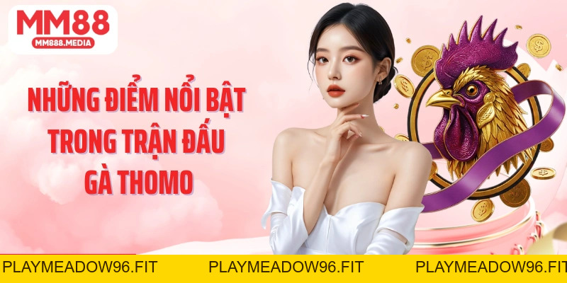 Đá Gà Thomo Sức Hút Từ Trường Gà Hợp Pháp Tại Campuchia - PLAYMEADOW96.FIT