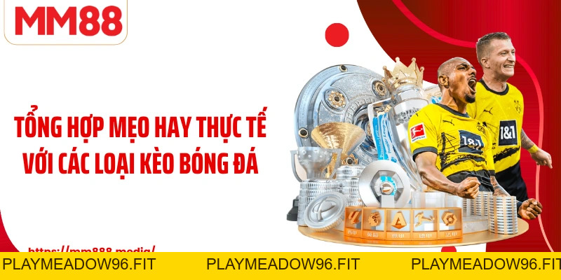 Các Loại Kèo Bóng Đá - Cẩm Nang Cho Người Yêu Thể Thao - PLAYMEADOW96.FIT