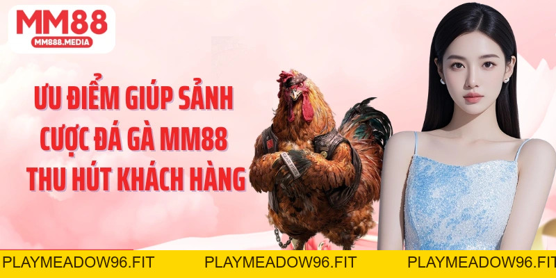 Đá Gà MM88: Cá Cược Chọi Kê Xanh Chín Kiếm Tiền Thưởng Lớn - PLAYMEADOW96.FIT
